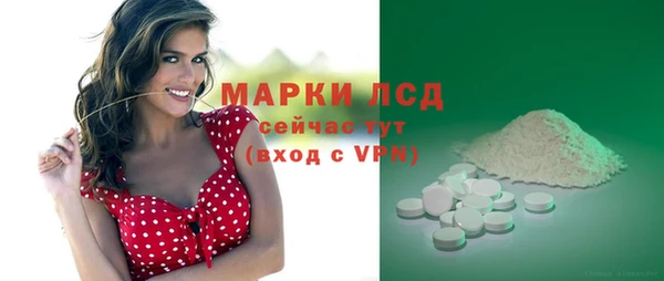 ГАЛЛЮЦИНОГЕННЫЕ ГРИБЫ Абаза