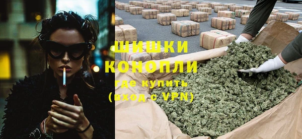 ГАЛЛЮЦИНОГЕННЫЕ ГРИБЫ Абаза