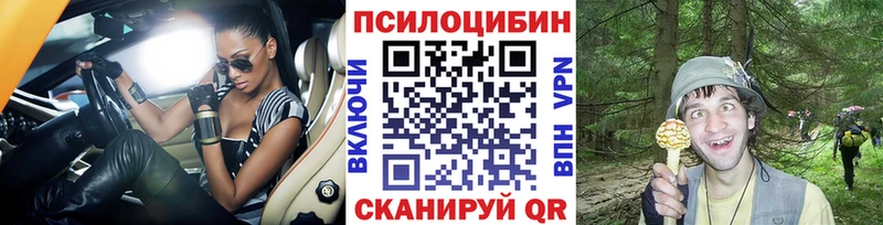 Псилоцибиновые грибы прущие грибы  Брянск 