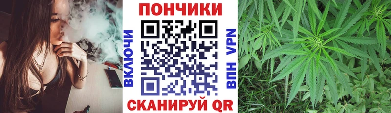 Шишки марихуана семена  Брянск 